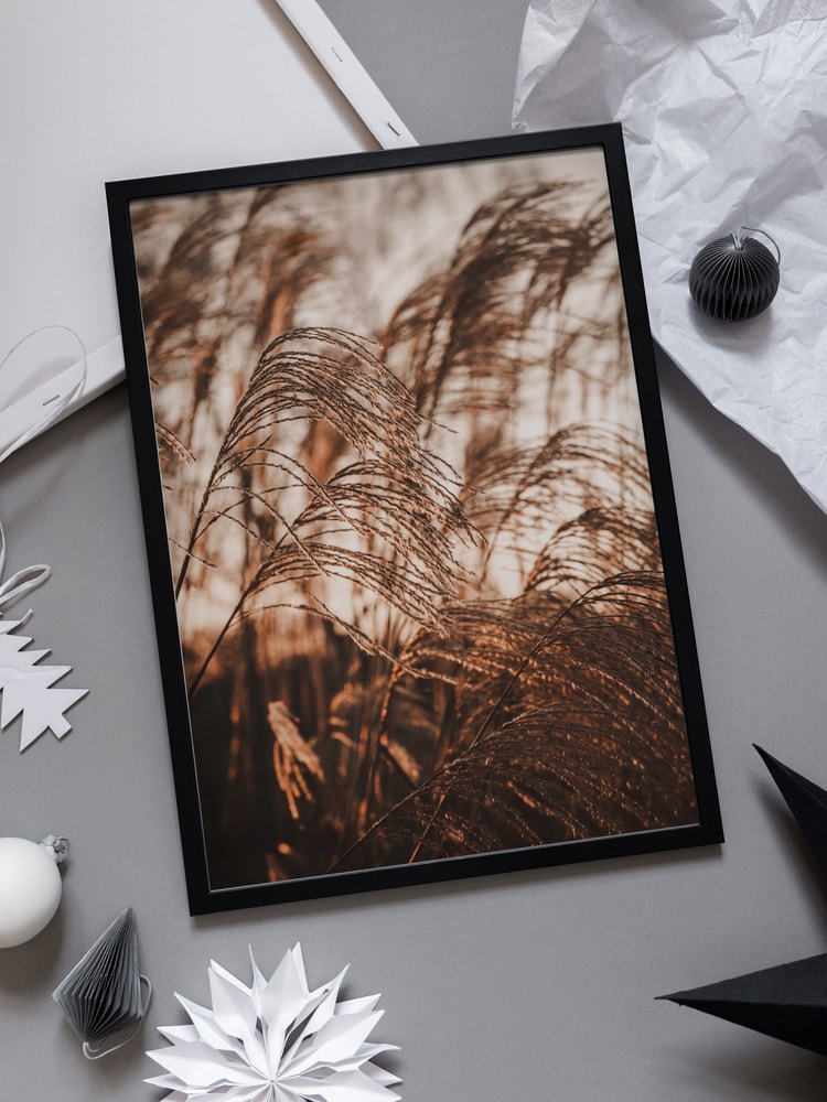 Swaying Pampas Grass