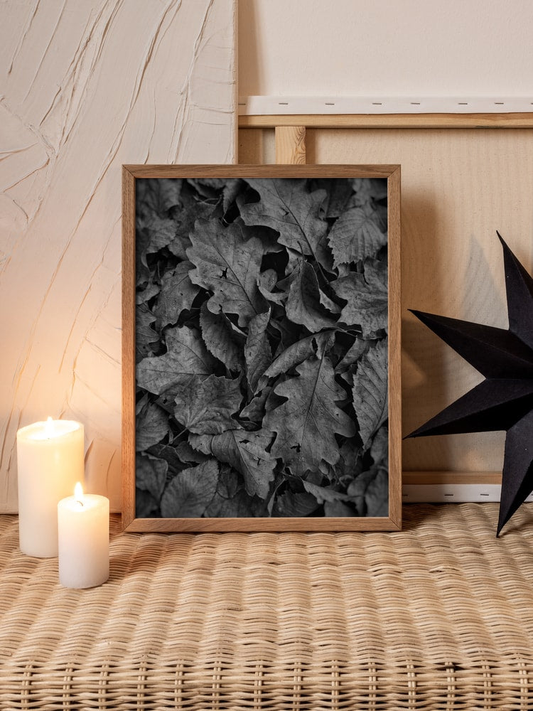 Monochrome Fall Foliage
