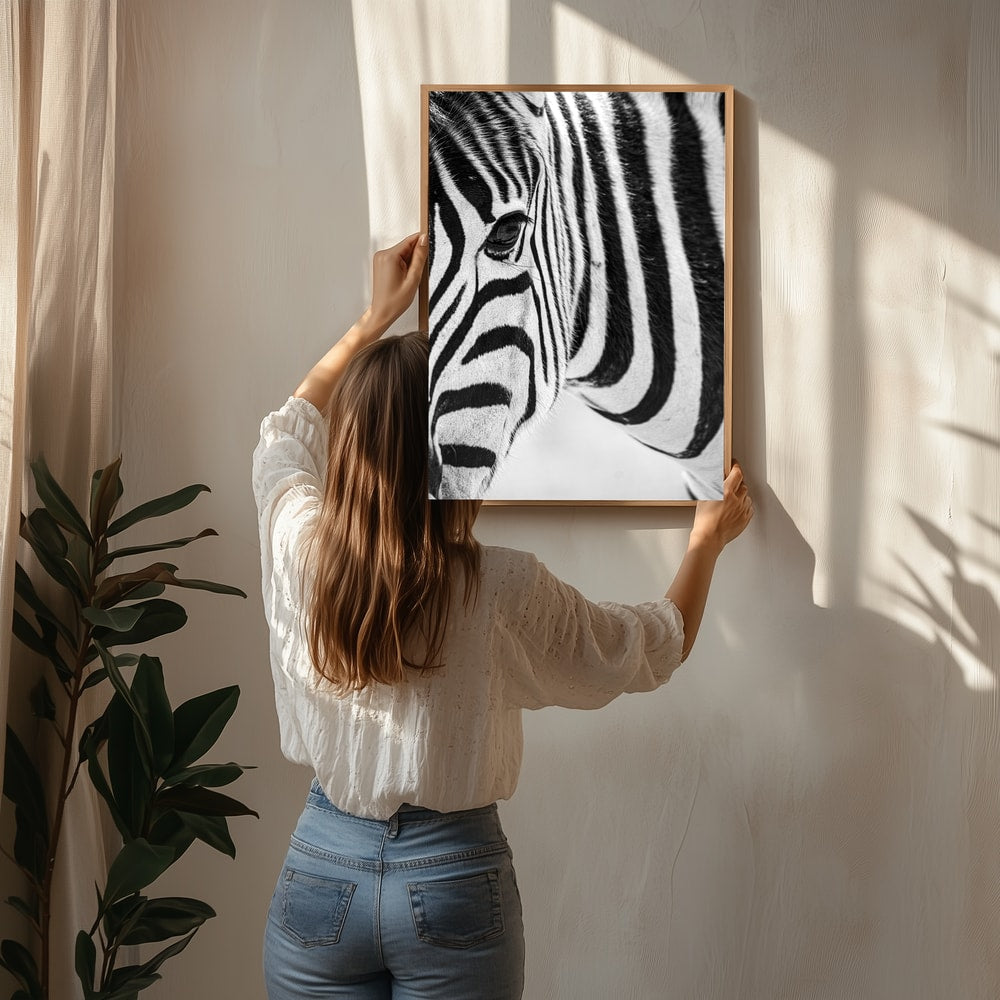 Black And White Zebra