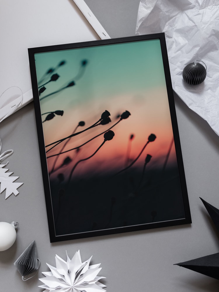 Sunset Plant Silhouettes