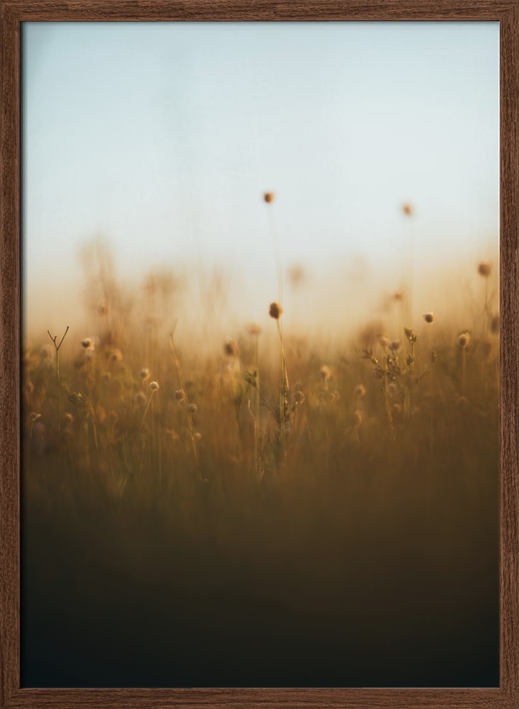 Dreamy Golden Meadow