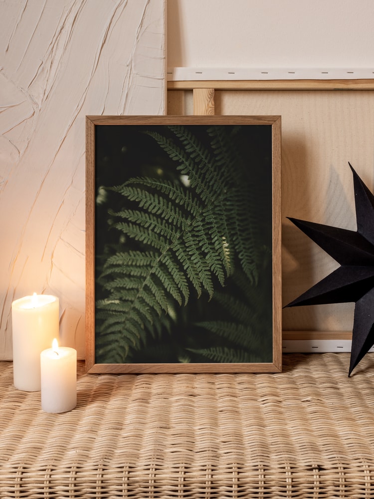 Lush Forest Fern