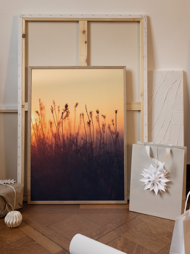 Golden Hour Field