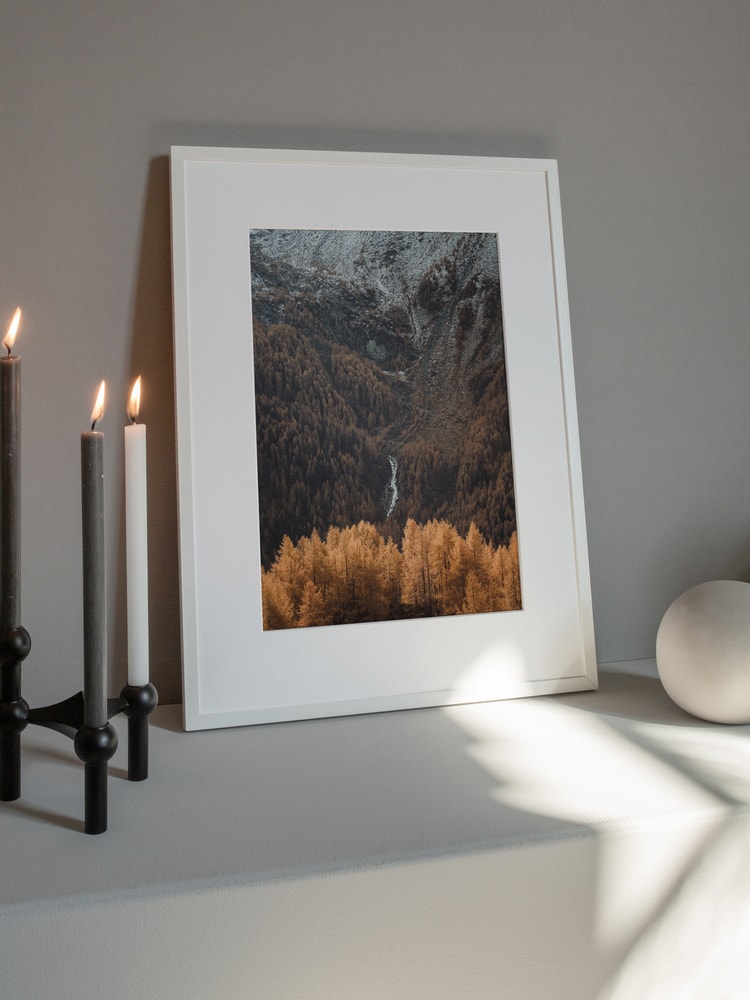 Golden Alpine Forest