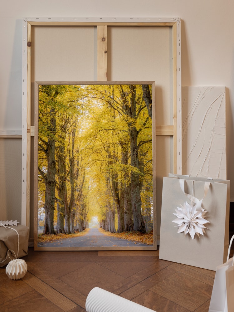 Golden Autumn Avenue