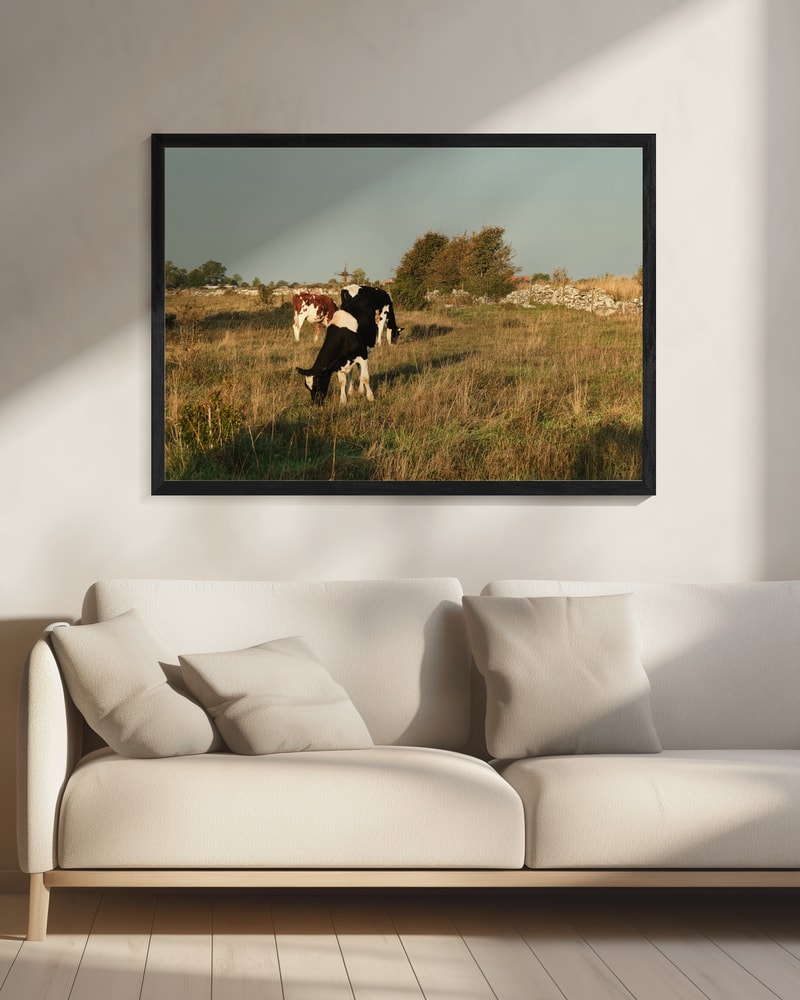 Cows Grazing by Windmill