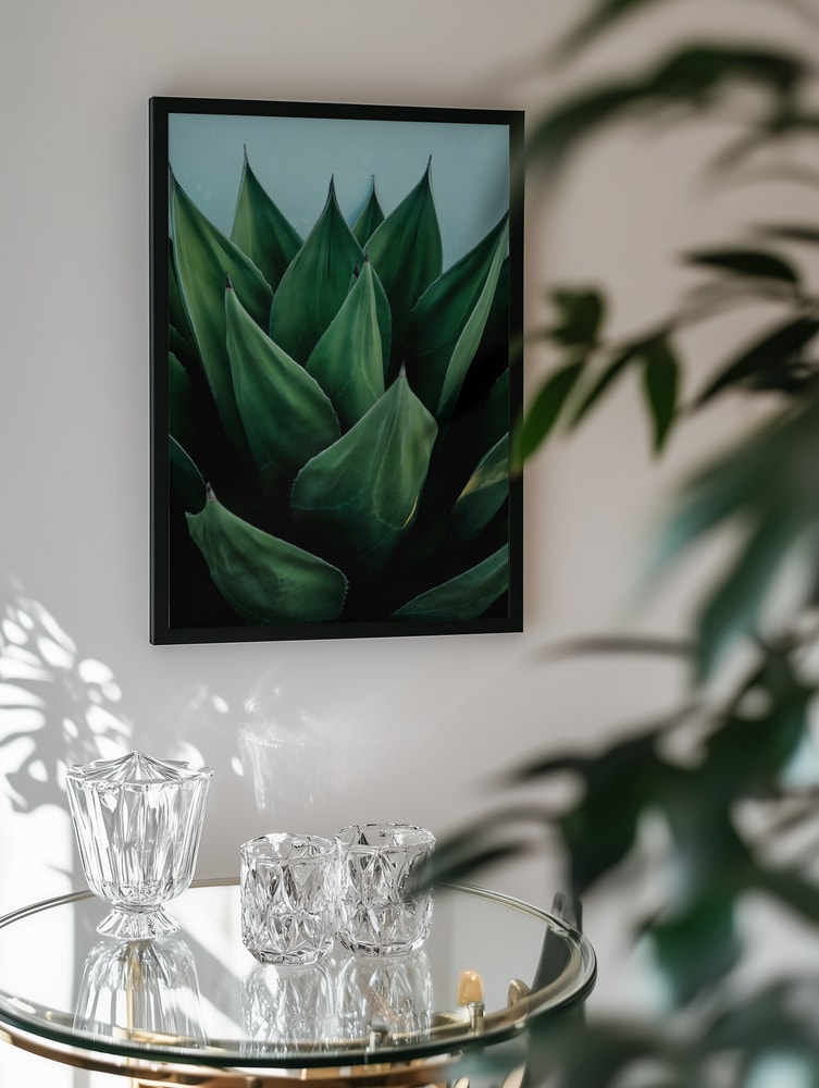 Vibrant Agave Foliage