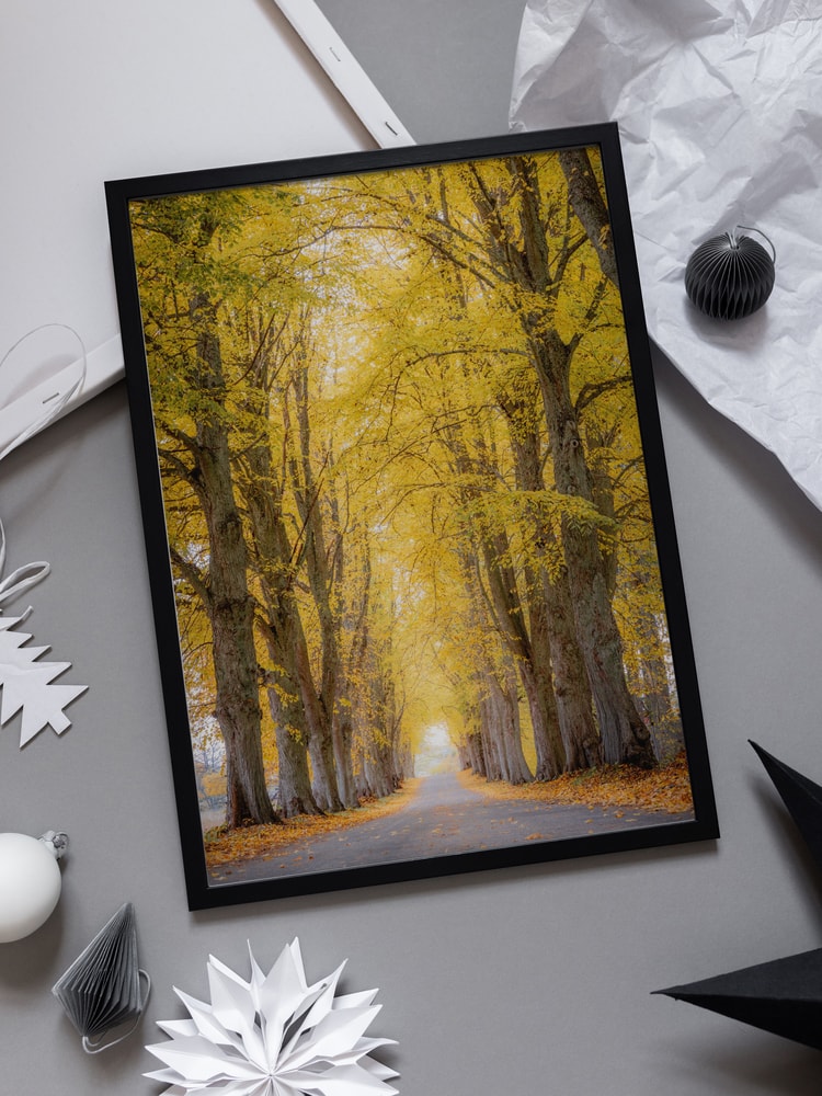 Golden Autumn Avenue