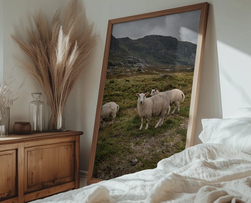 Sheep in Mountain Landscape