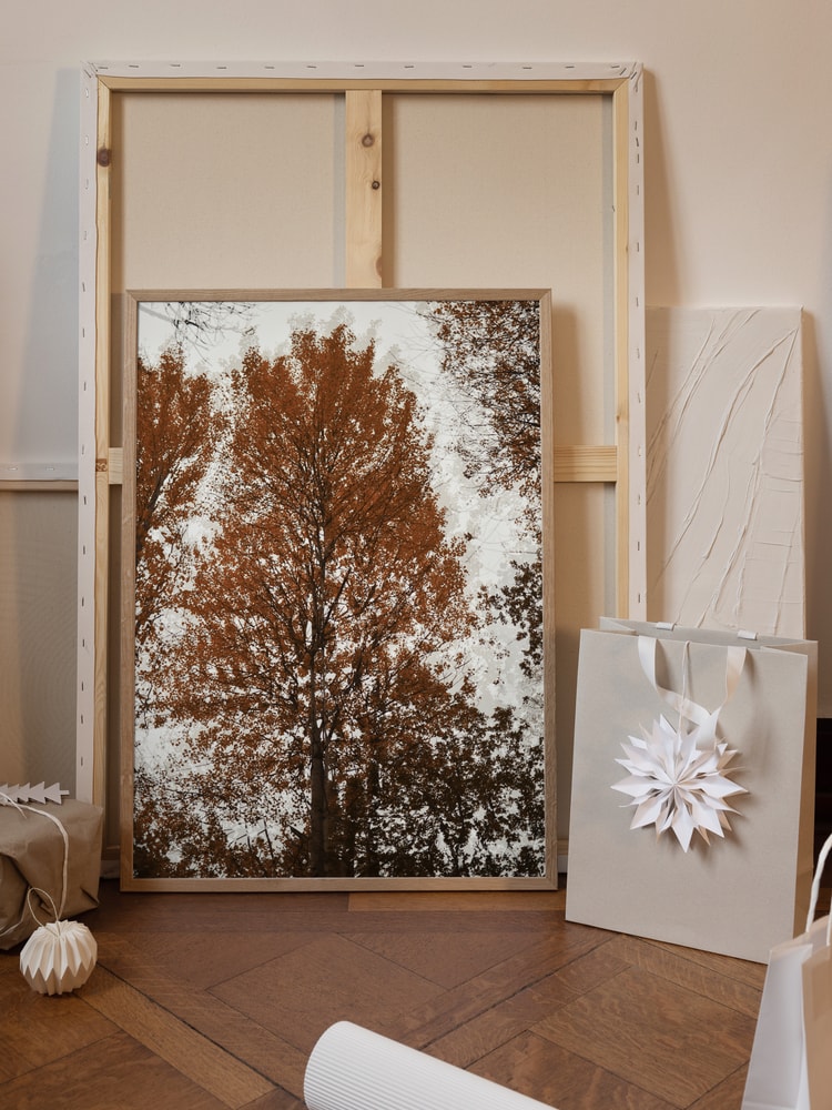 Autumn Tree Canopy