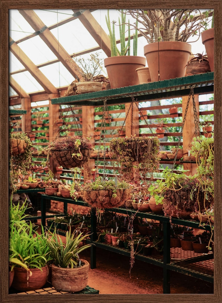 Lush Greenhouse Garden