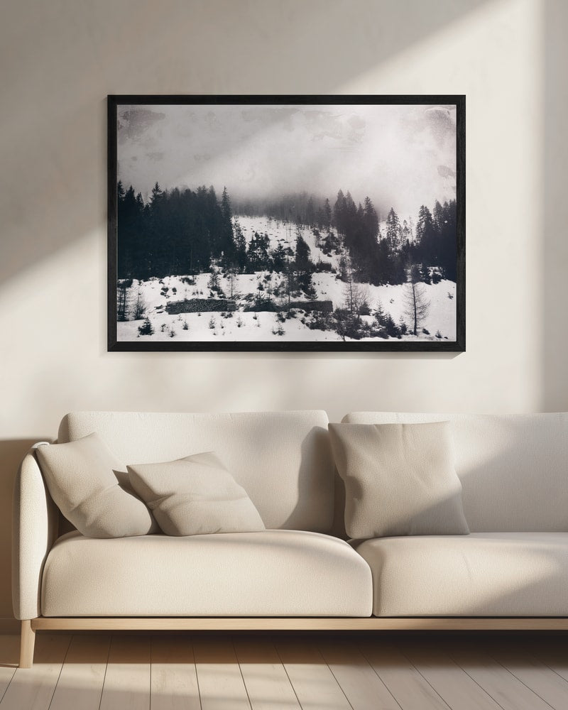 Misty Winter Forest