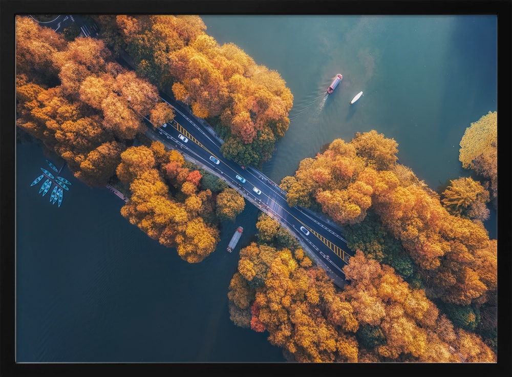Aerial Autumn Lake Road