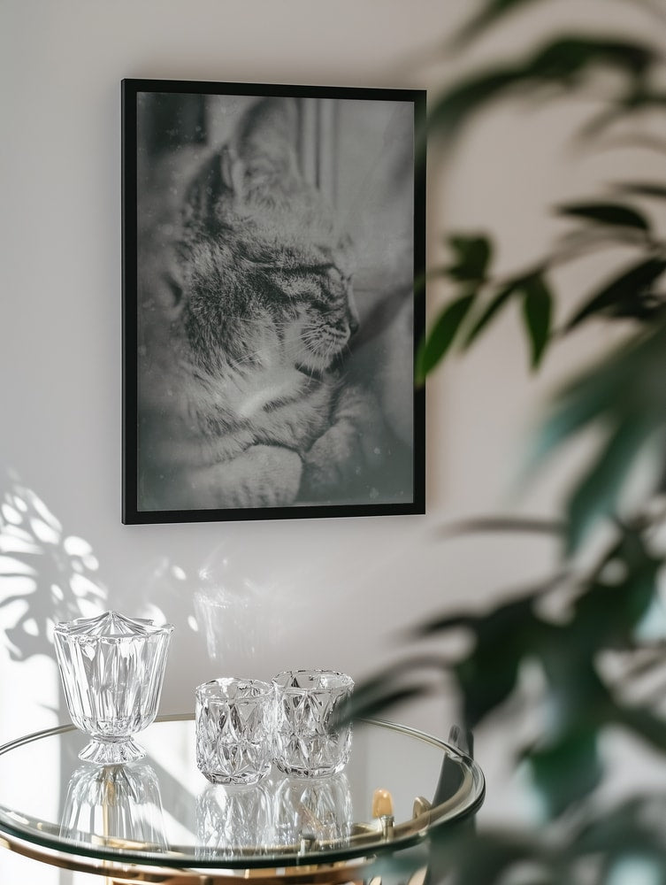 Peaceful Tabby Cat
