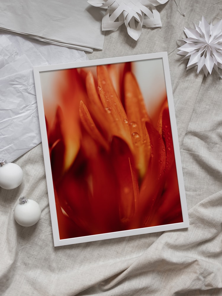 Dewy Orange Petals