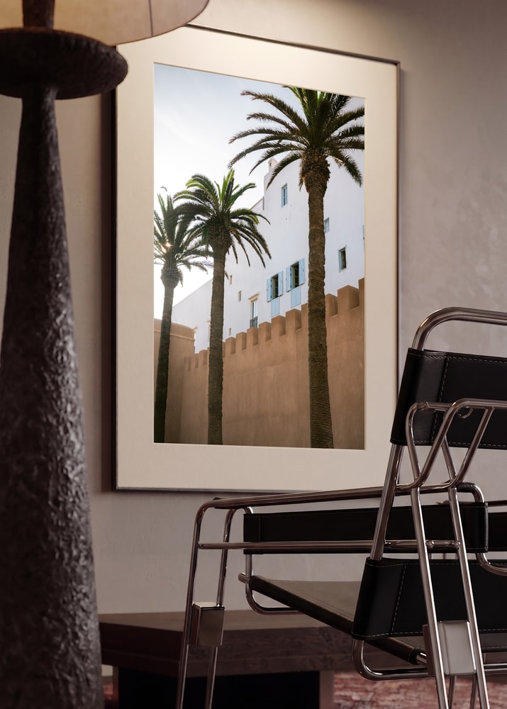 Sunny Palms And White Walls
