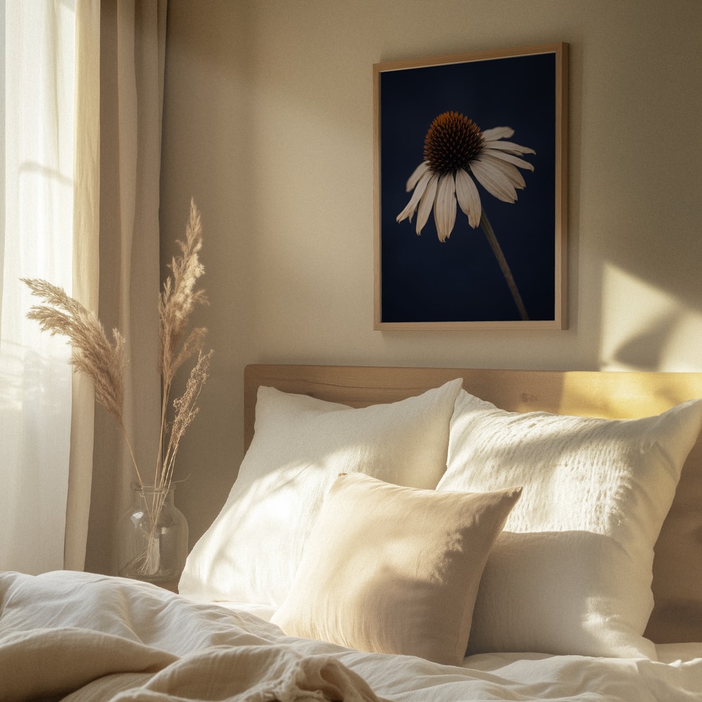 Elegant White Coneflower