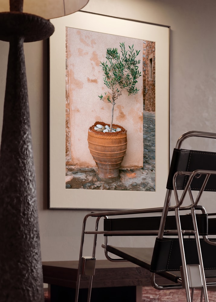 Rustic Potted Olive Tree