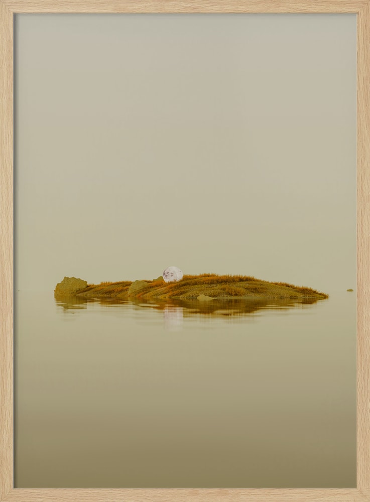 Floating Moss Island Pearl