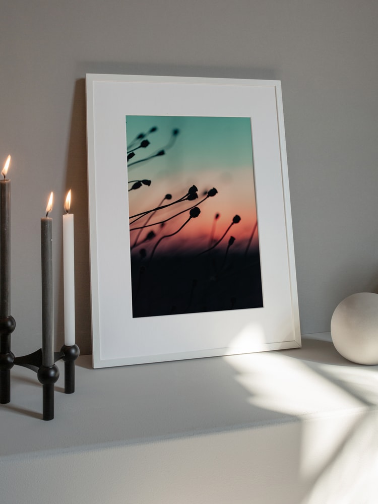 Sunset Plant Silhouettes