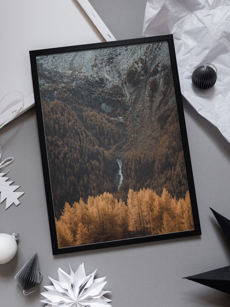 Golden Alpine Forest