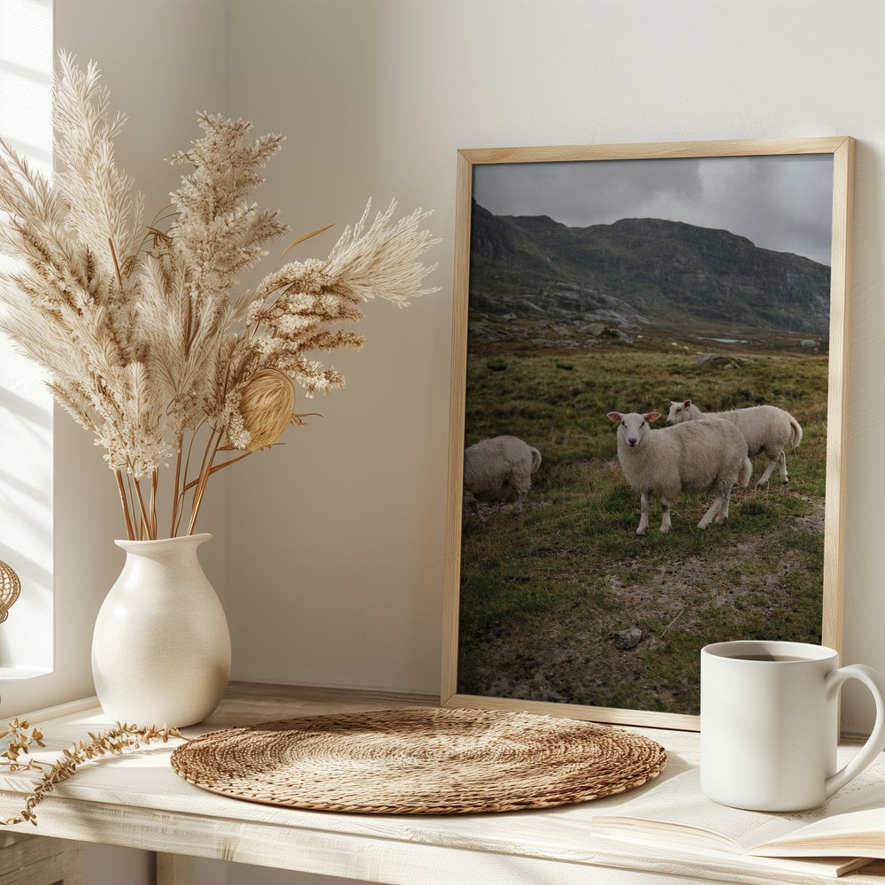 Sheep in Mountain Landscape