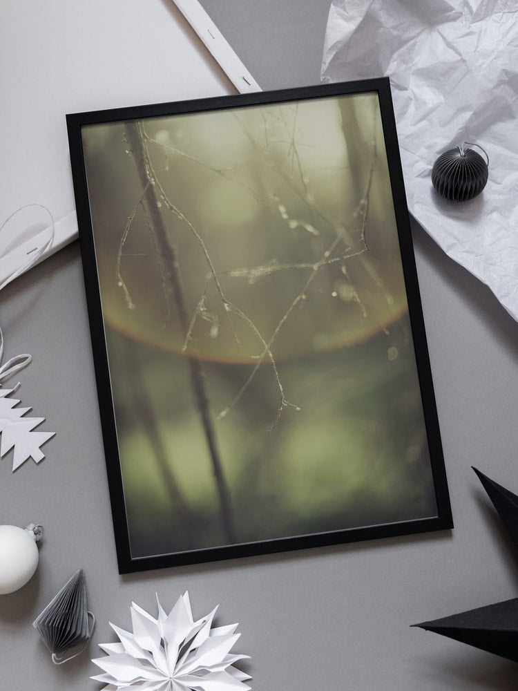 Misty Morning Branches