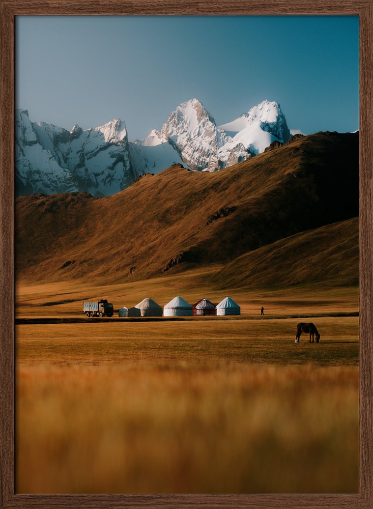 Golden Steppe Yurts