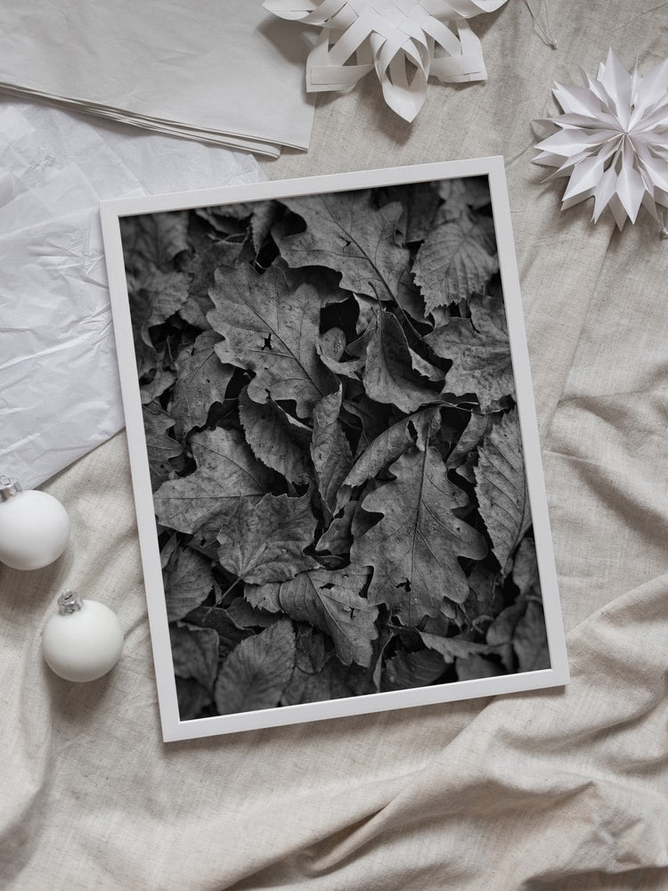 Monochrome Fall Foliage