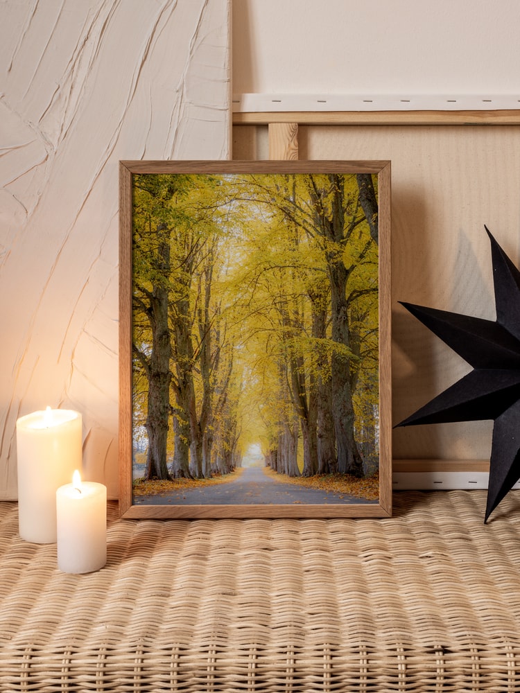 Golden Autumn Avenue