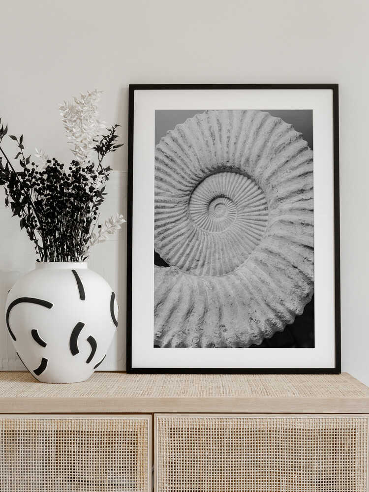 Spiral