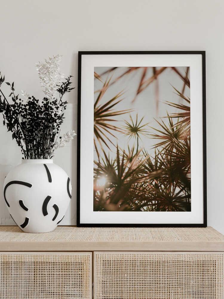Abstract Beauty Of Spiky Plant