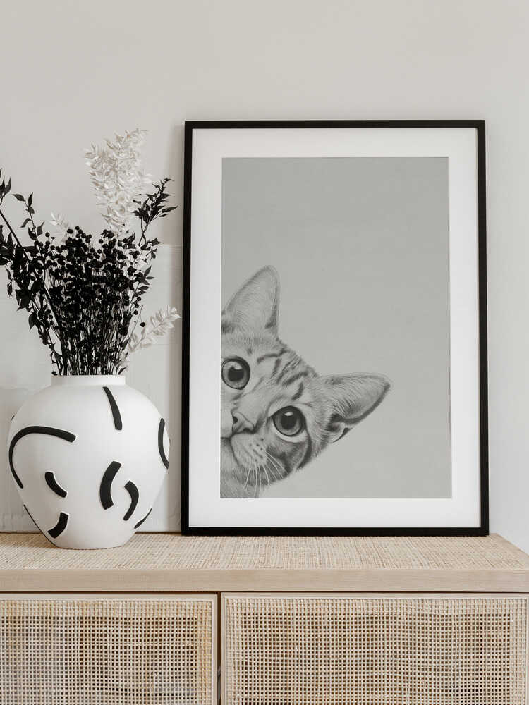 Nyfiken katt