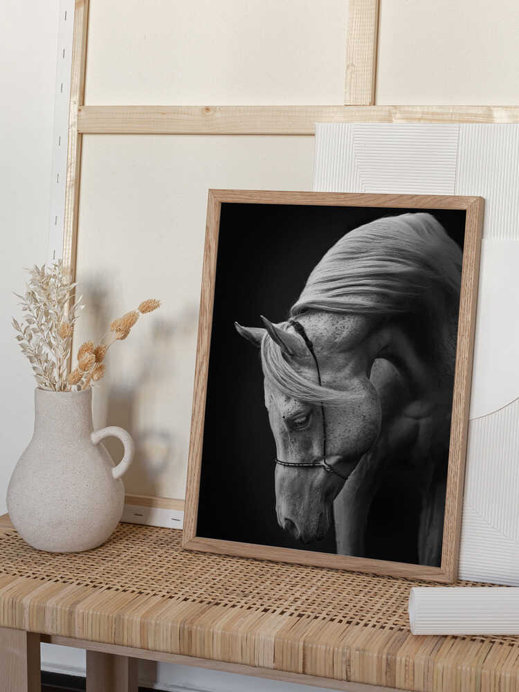 Vit hingst