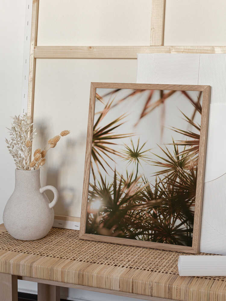 Abstract Beauty Of Spiky Plant