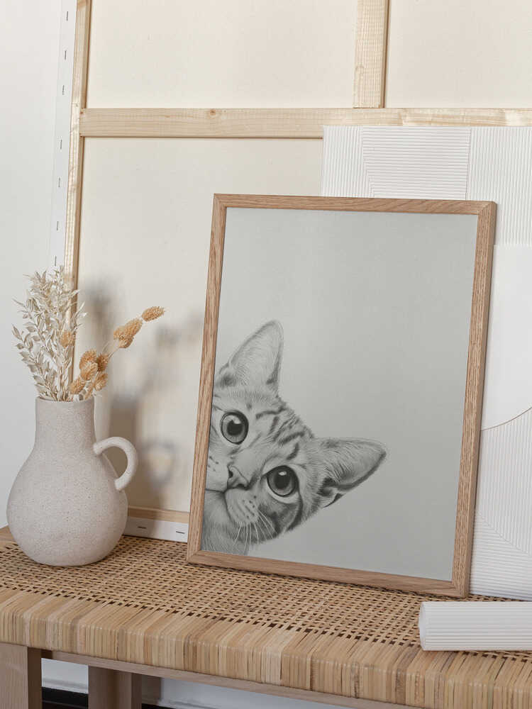 Nyfiken katt