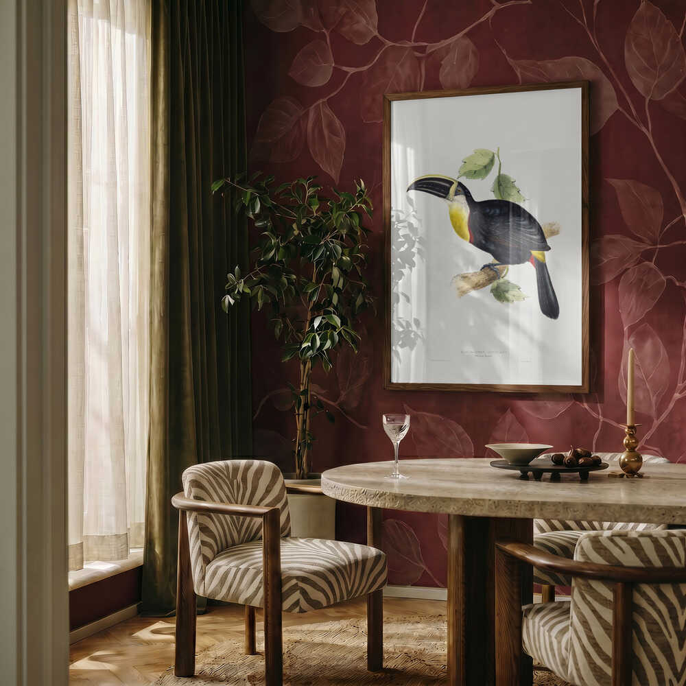 Osculant Toucan