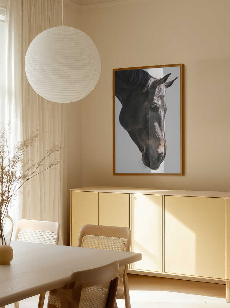 Gentle Equine Gaze