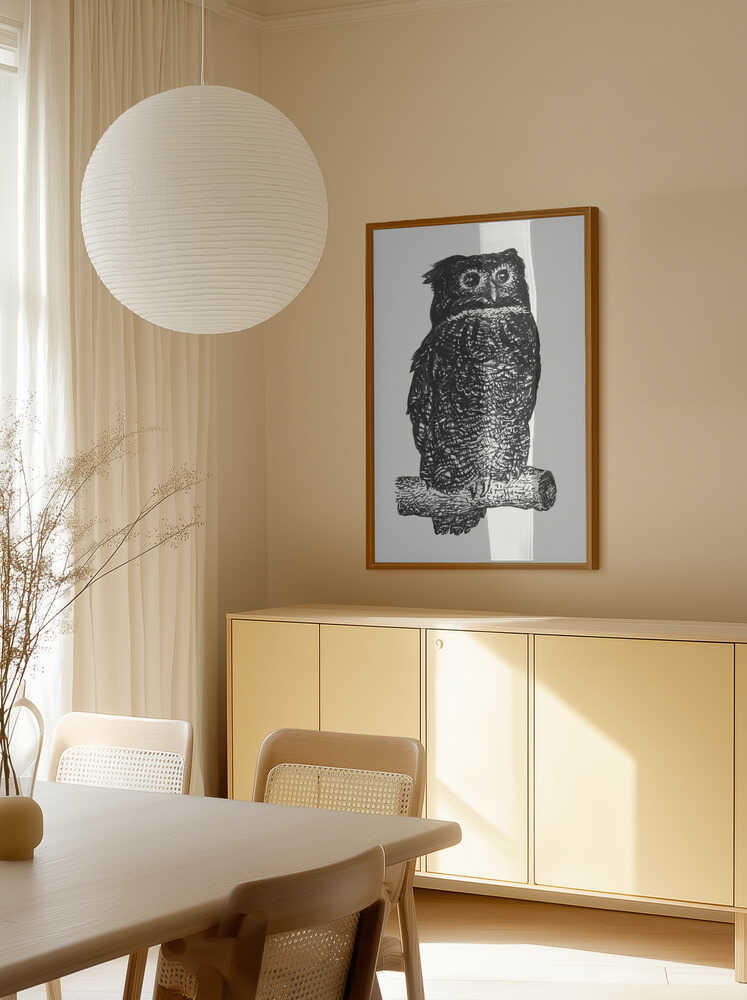 Owl
