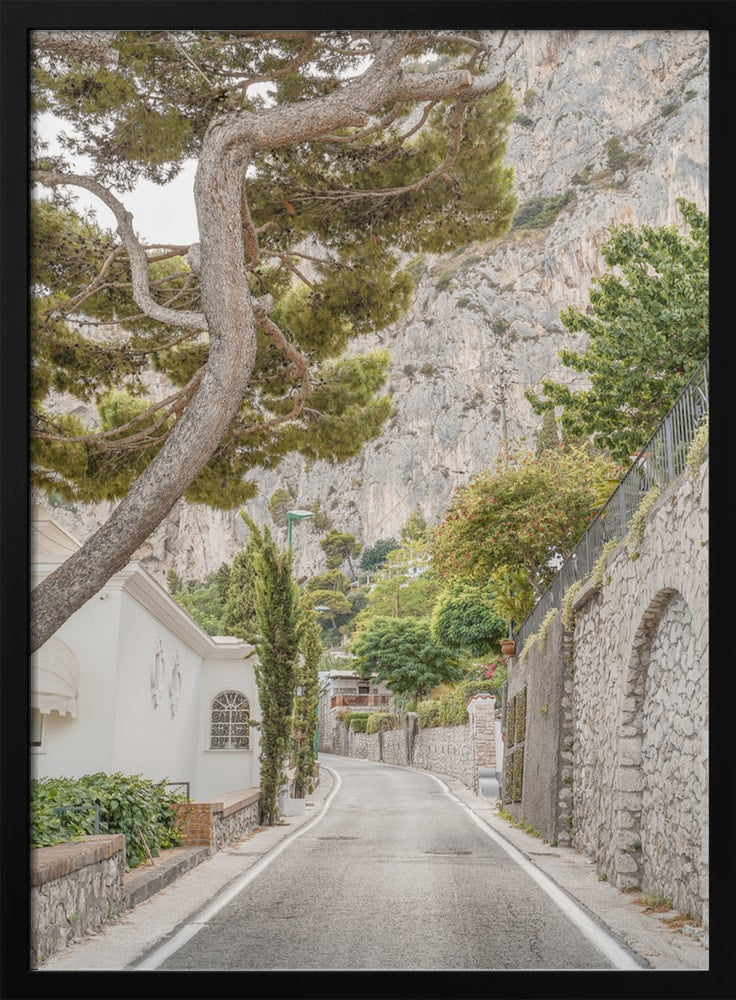 Mediterranean Cliff Road
