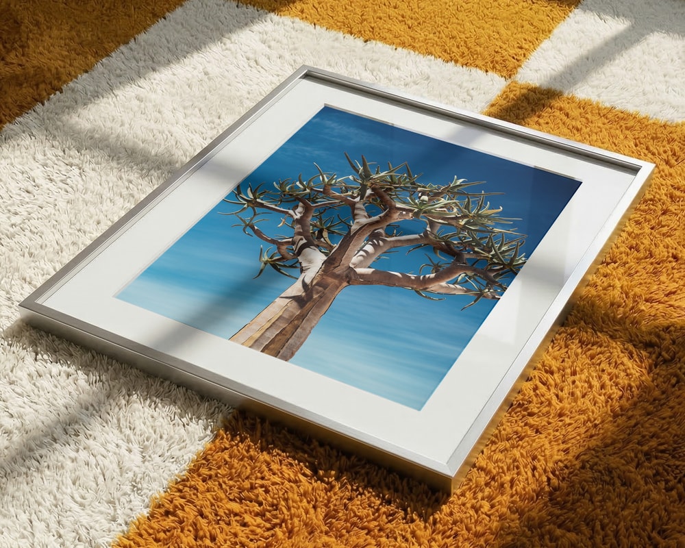 Quiver Tree Blue Sky