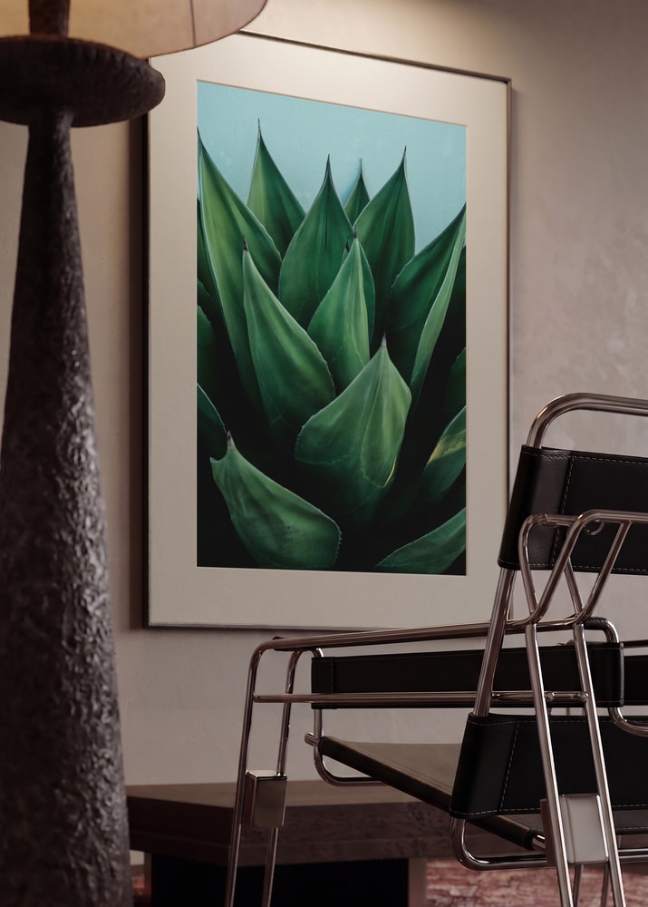 Vibrant Agave Foliage