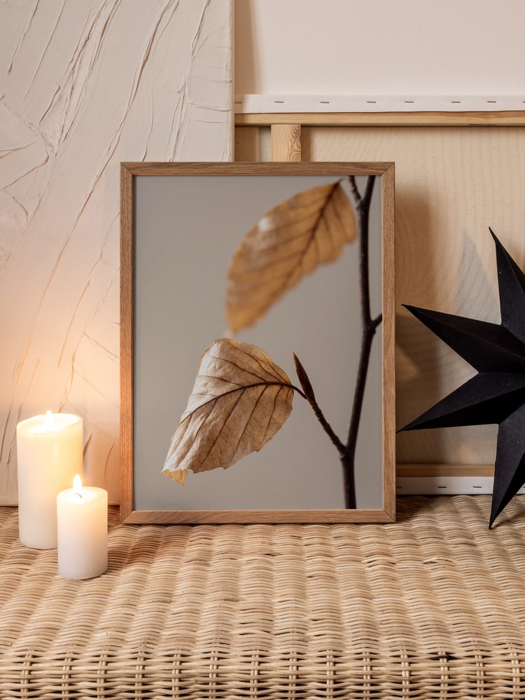 Autumn Dried Leaves
