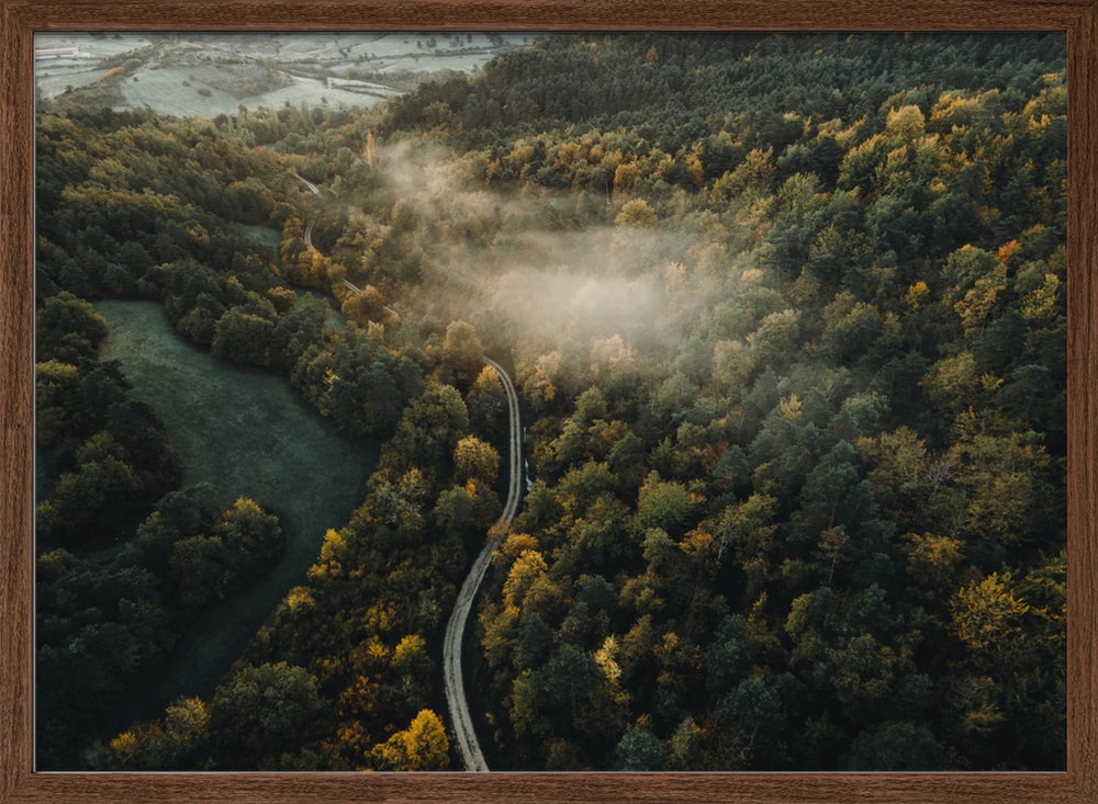 Winding Road Through Mist