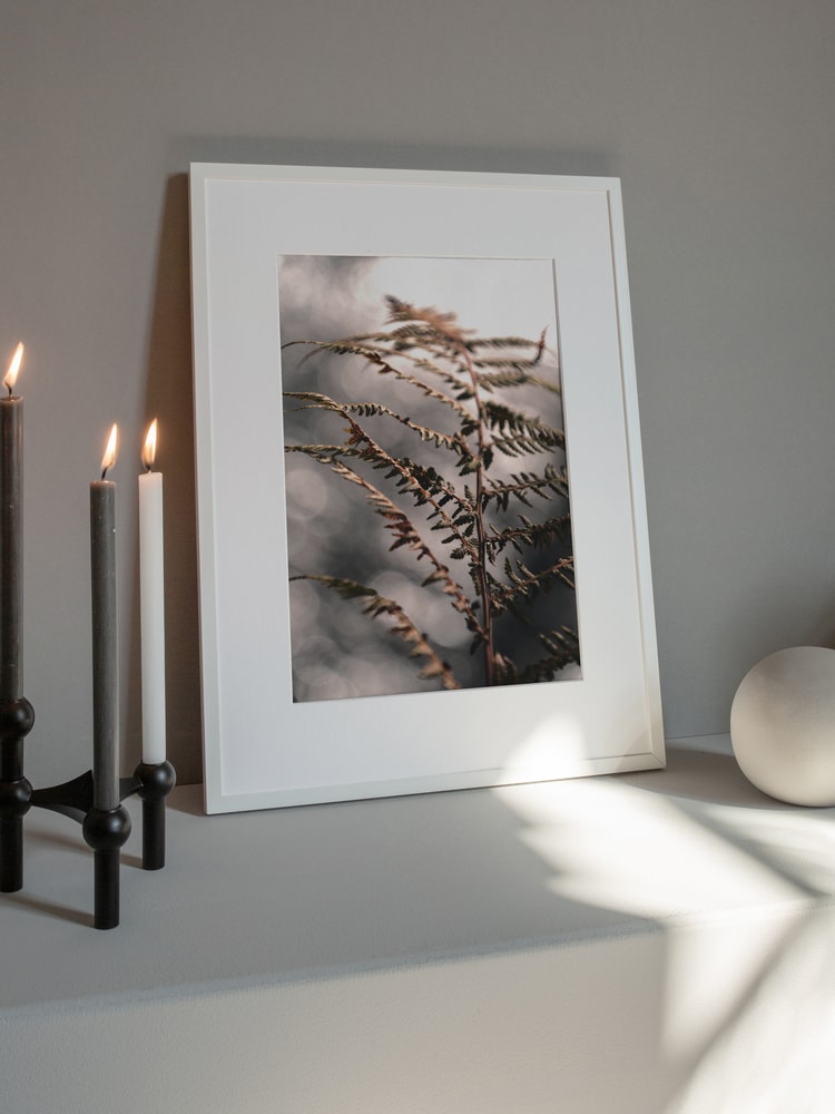 Delicate Autumn Fern
