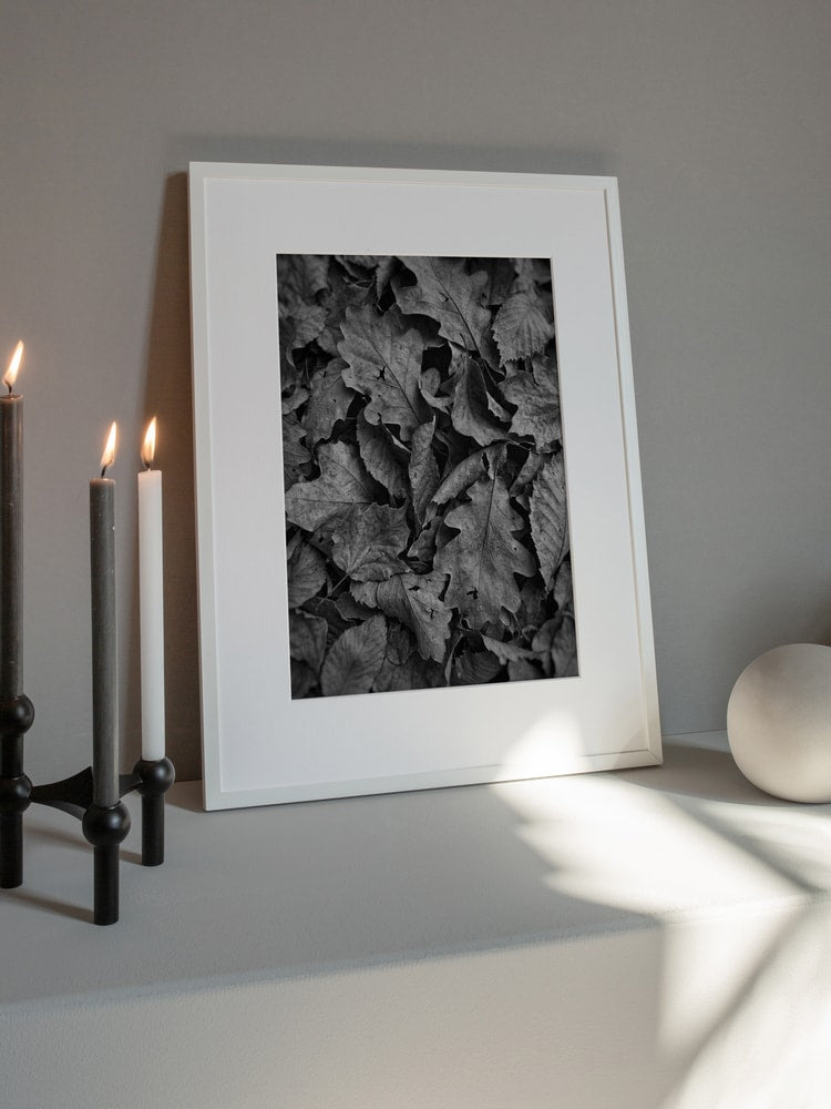 Monochrome Fall Foliage