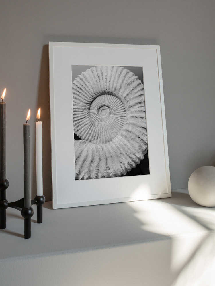 Spiral