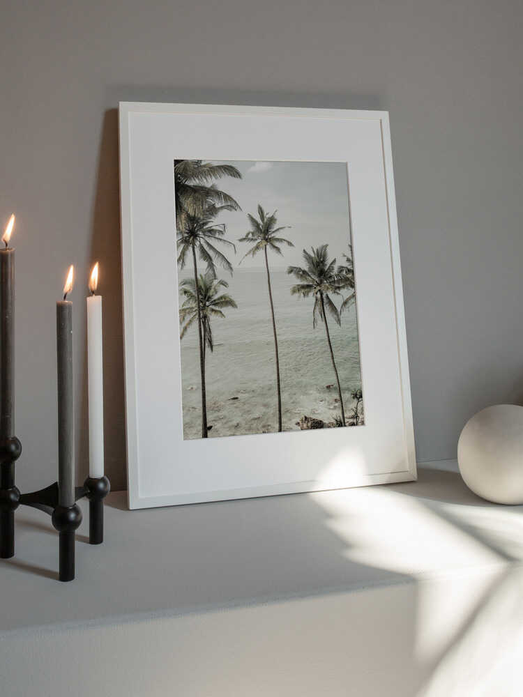 Tropical Dreams