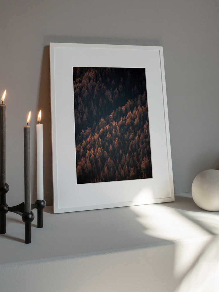 Höstskogen