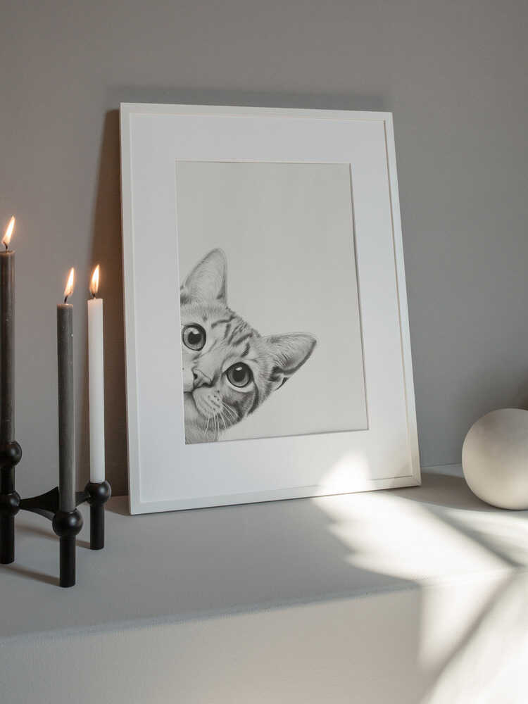 Nyfiken katt